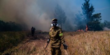 Δεν είναι φυσική καταστροφή, είναι εγκληματική πολιτική. Για ένα νέο μοντέλο δασοπροστασίας
