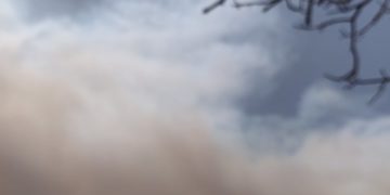 H γη καίγεται. Οι ζωές καταστρέφονται. Να λογαριαστούμε τώρα, για να ζήσουμε αύριο.