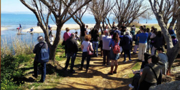 Πρώτη νίκη του κινήματος για το μεγάλο ρέμα της ραφήνας