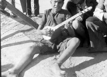 Ελασιτάκια