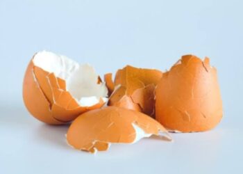 Αριστερά Χωρίς Αριστερούς