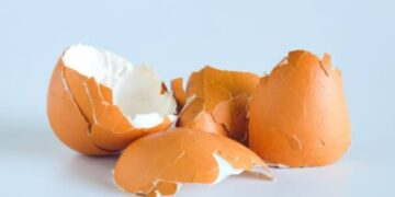 Αριστερά Χωρίς Αριστερούς