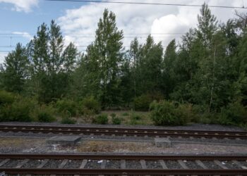 Τα τρένα της προόδου και της εκμετάλλευσης (Α μέρος): Ο σιδηρόδρομος στο «Κεφάλαιο» του Μαρξ