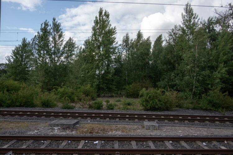 Τα τρένα της προόδου και της εκμετάλλευσης (Α μέρος): Ο σιδηρόδρομος στο «Κεφάλαιο» του Μαρξ