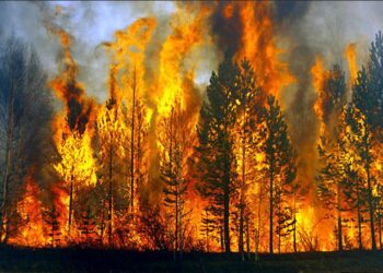 Καύσωνας – Πυρκαγιές: Δεν είναι δυστοπίες από μόνα τους!