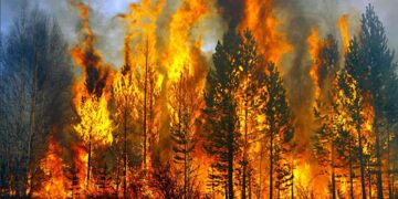 Καύσωνας – Πυρκαγιές: Δεν είναι δυστοπίες από μόνα τους!